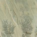 Sandstone Mint Fossils Indian Sandstone Supplier,Exporter,India